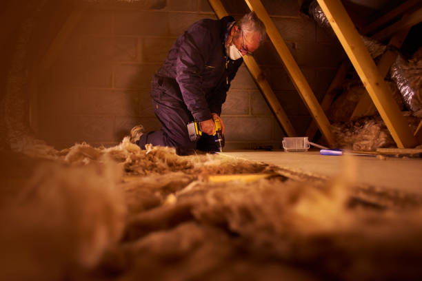 Insulation Repair Services in Cherokee, IA